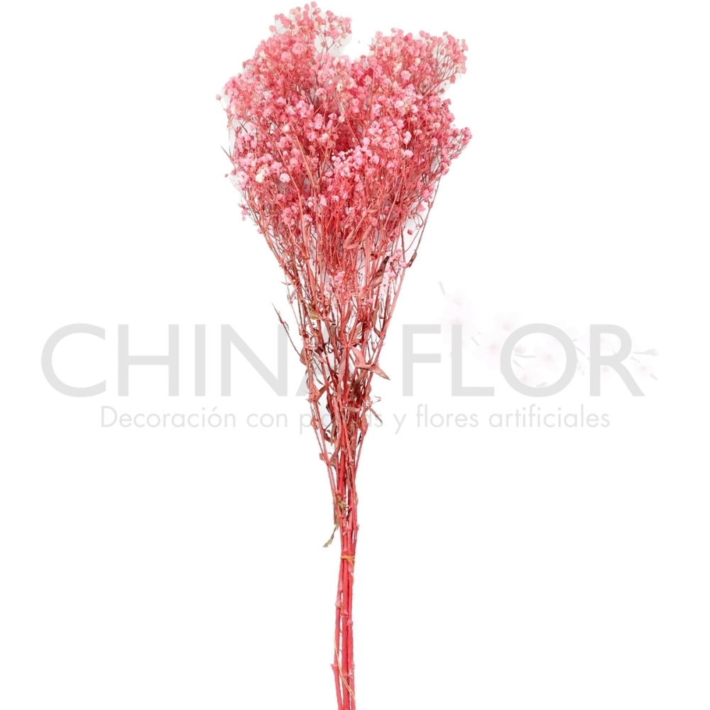 FLORES SECAS MOSQUITA 80CM