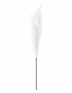 PLUMA GRANDE