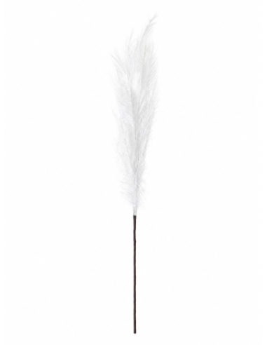 PLUMA GRANDE
