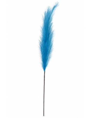 PLUMA GRANDE