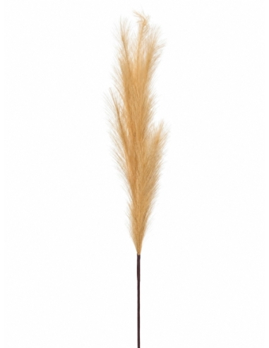 PLUMA GRANDE