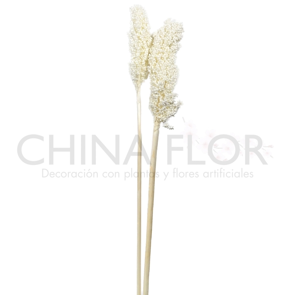 FLORES SECAS 70CM