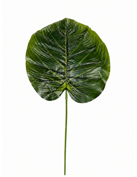 HOJA DE PLASTICO 55CM