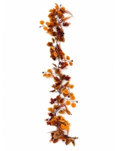 ENREDADERA OTOÑO