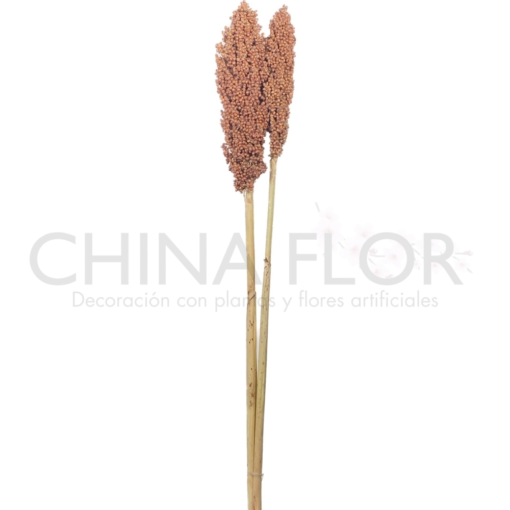 FLORES SECAS 70CM