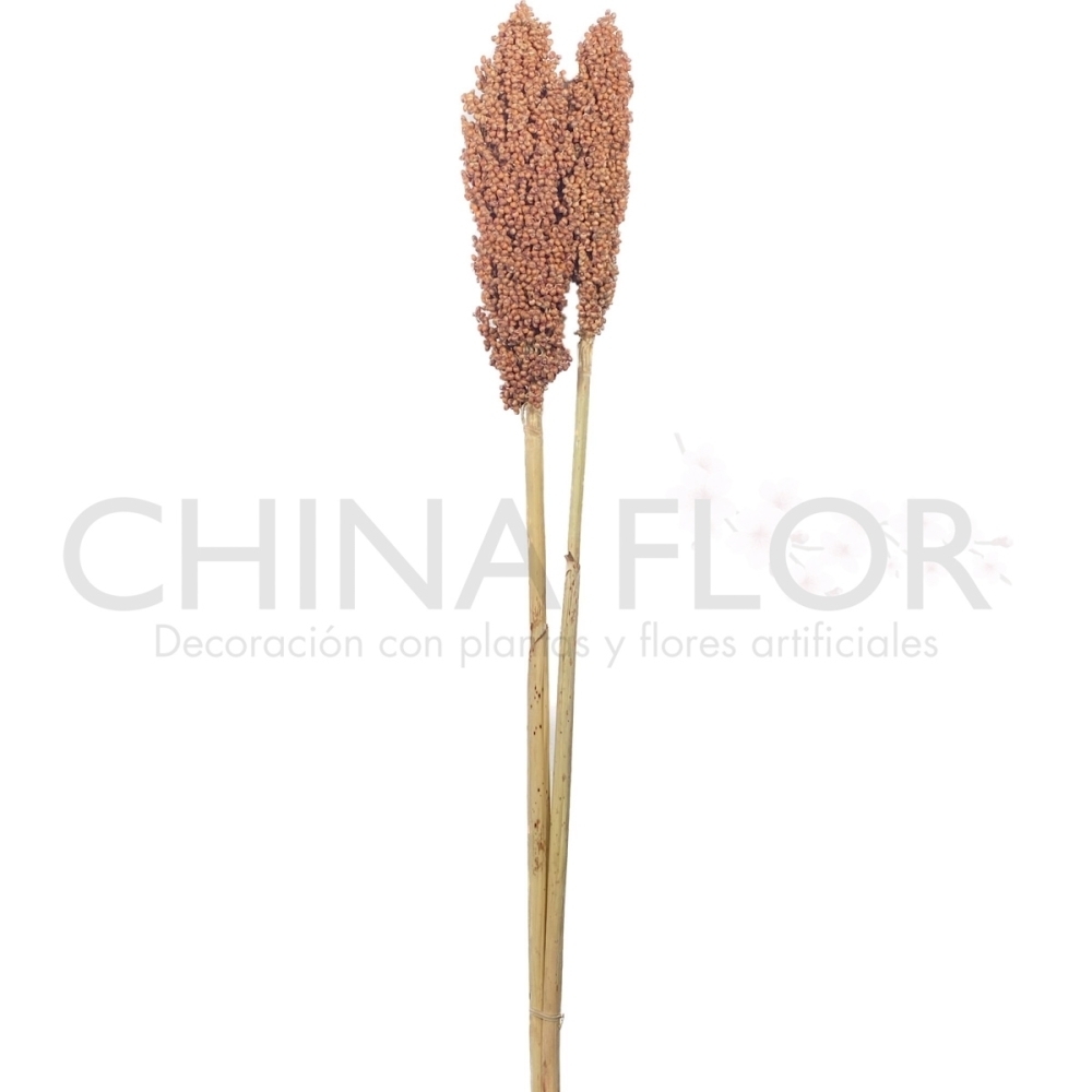 FLORES SECAS 70CM