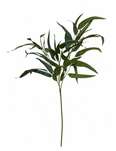 HOJA