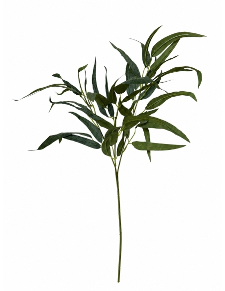 HOJA