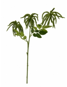 RAMA DE AMARANTHUS CREMA 75CM