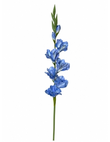 GLADIOLO 80CM