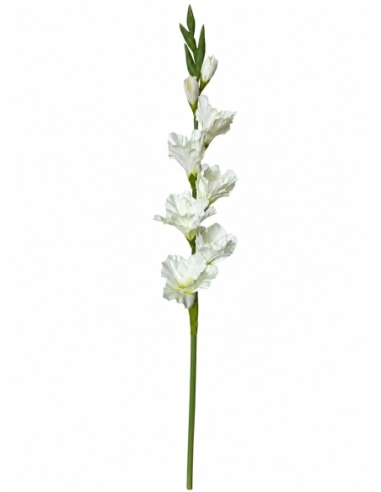 GLADIOLO 80CM
