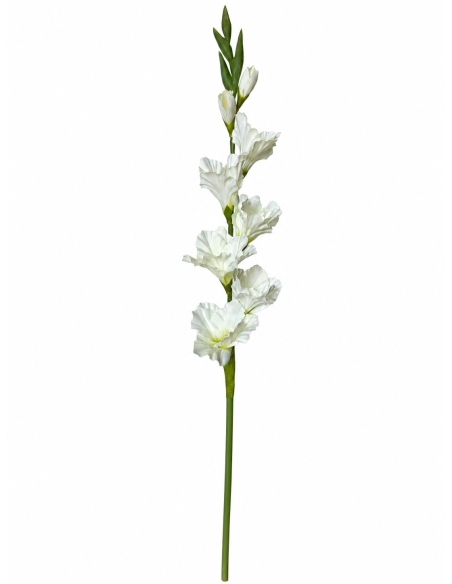 GLADIOLO 80CM