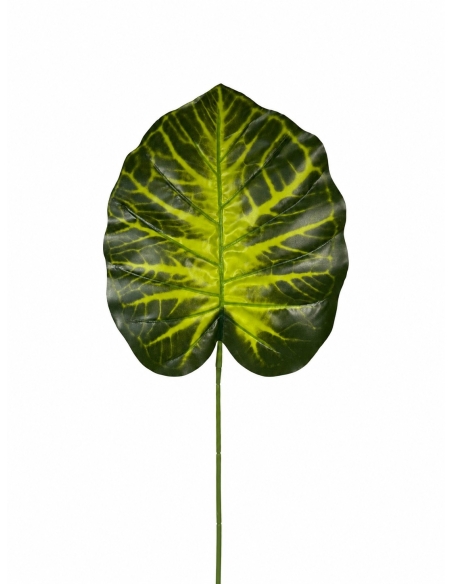HOJA VERDE 55CM