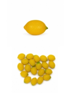 LIMON PLASTICO MEDIANO PAQUETE
