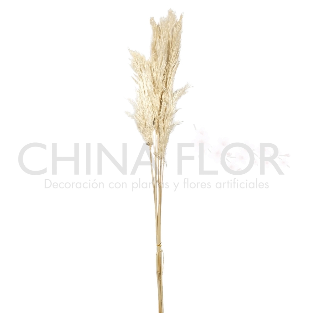 BAI-FLORES SECAS PLUMA 85CM