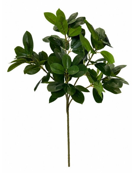 HOJA VERDE