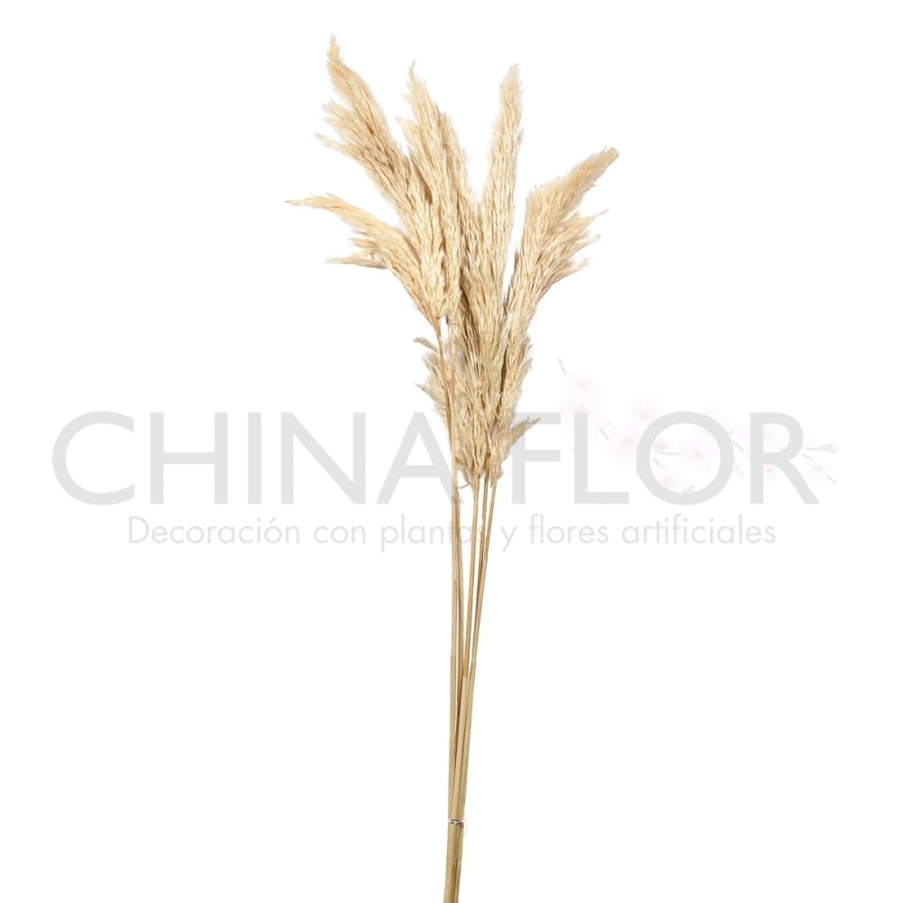 MISE-FLORES SECAS PLUMA 85CM