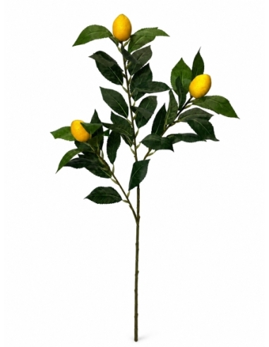 VARA HOJA+LIMON