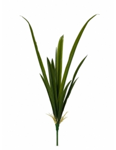 HOJA DE CYMBIDIUM 56CM