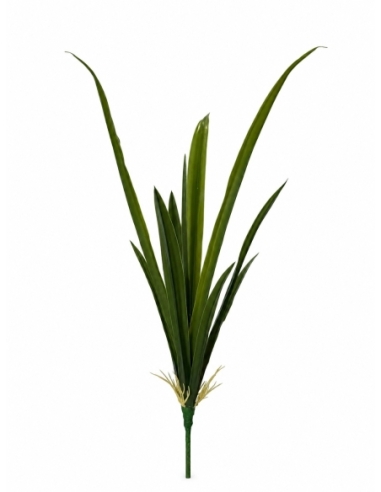 HOJA DE CYMBIDIUM 56CM