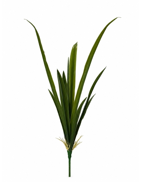 HOJA DE CYMBIDIUM 56CM