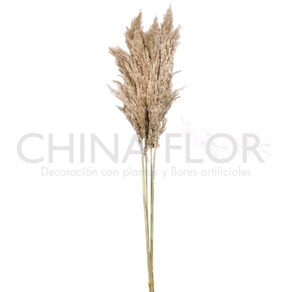 ZONG-FLORES SECAS PLUMA 85CM