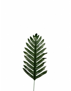 HOJA DE PALMERA