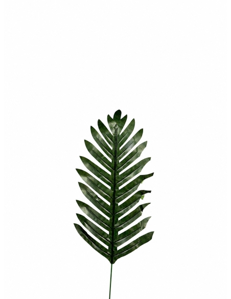 HOJA DE PALMERA