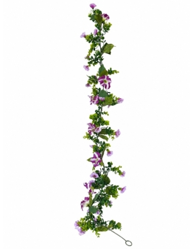 ENREDADERA  FLOR