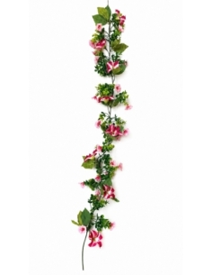 ENREDADERA  FLOR