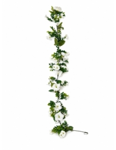 ENREDADERA  FLOR