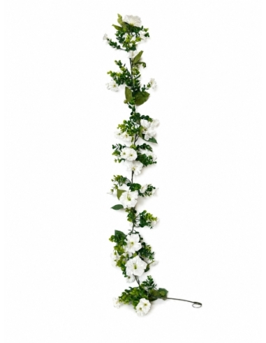 ENREDADERA  FLOR