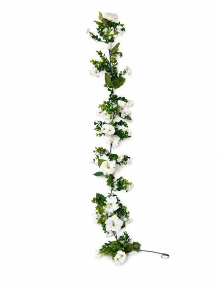ENREDADERA  FLOR