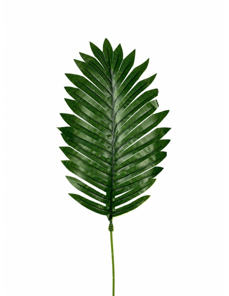 HOJA VERDE