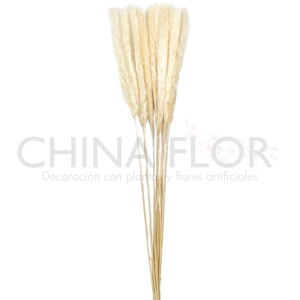 BAI-FLORES SECAS TRIGO 75CM