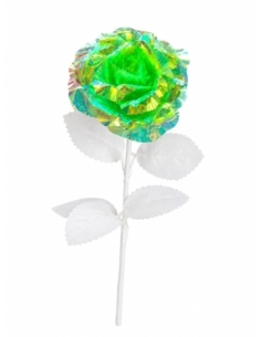 FLOR BOREAL
