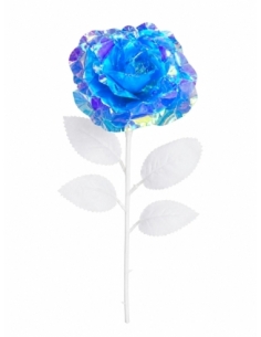 FLOR BOREAL