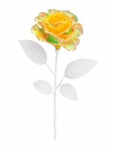 FLOR BOREAL