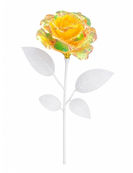 FLOR BOREAL