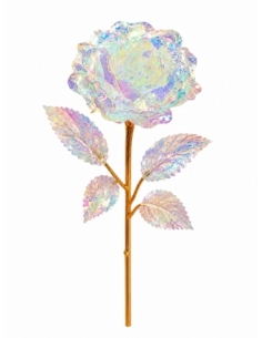 FLOR BOREAL