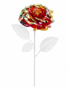 FLOR BOREAL