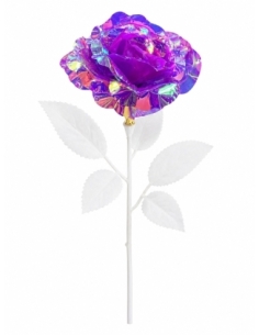 FLOR BOREAL