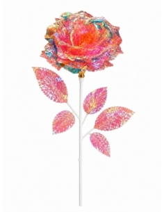 FLOR BOREAL