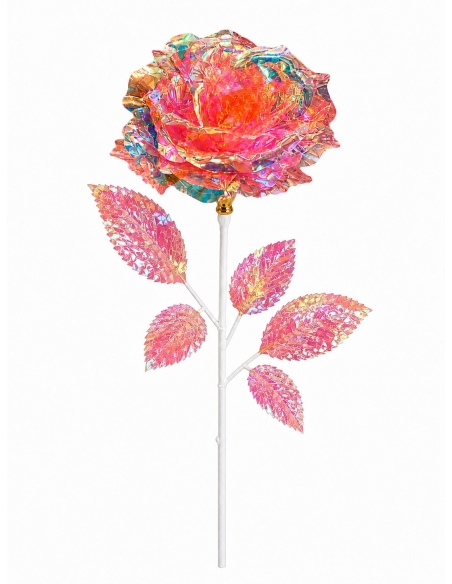 FLOR BOREAL
