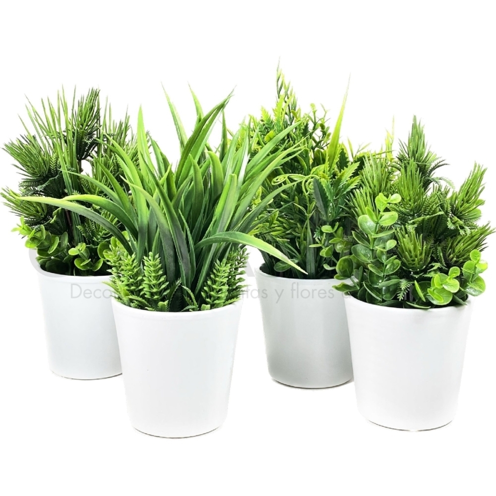 PLANTA MINI 10CM