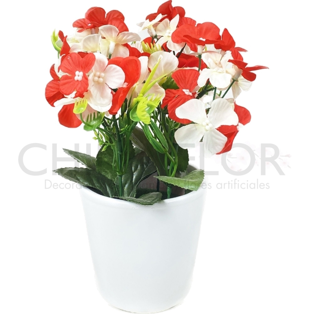 PLANTA MINI 10CM