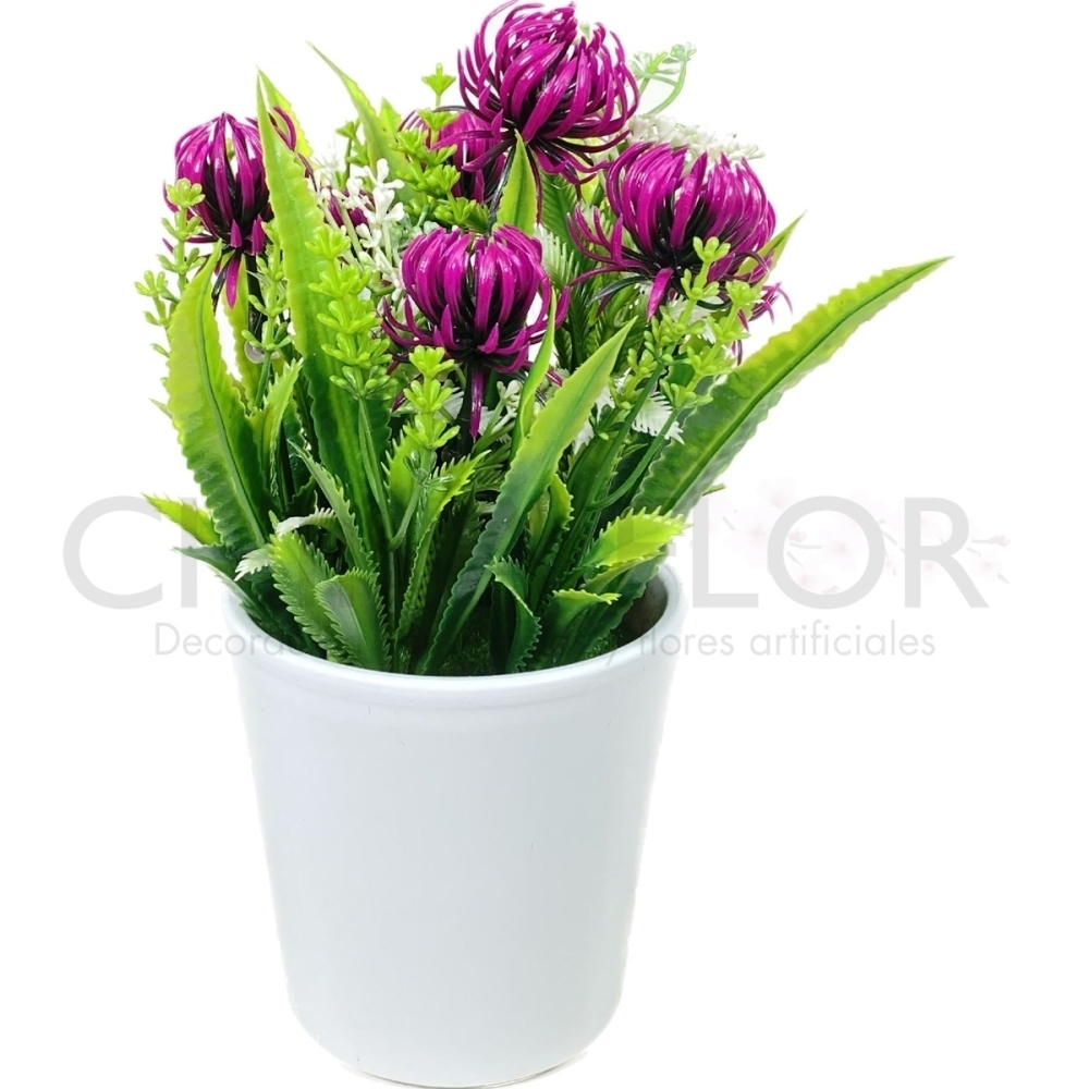 PLANTA MINI 10CM